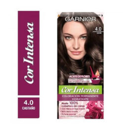 GARNIER COLORACION COR INTENSA KIT N 4.0