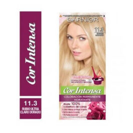 GARNIER COLORACION COR INTENSA KIT N 11.3